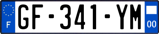 GF-341-YM