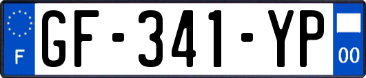 GF-341-YP