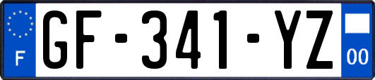 GF-341-YZ