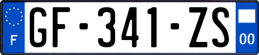 GF-341-ZS