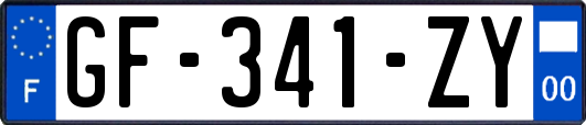 GF-341-ZY