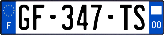GF-347-TS