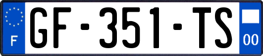 GF-351-TS