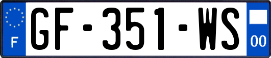 GF-351-WS
