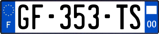 GF-353-TS