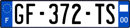 GF-372-TS