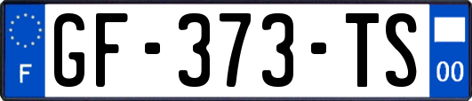 GF-373-TS