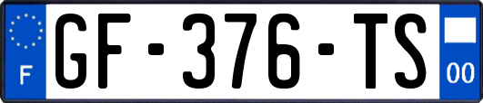 GF-376-TS