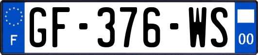 GF-376-WS