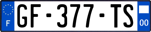 GF-377-TS
