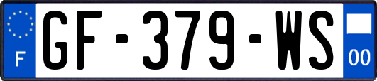 GF-379-WS