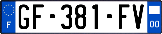 GF-381-FV