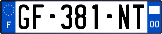 GF-381-NT