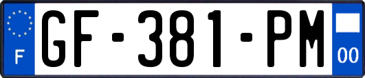 GF-381-PM