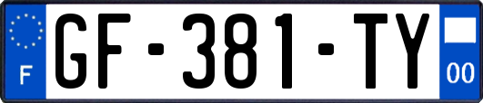 GF-381-TY