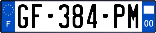 GF-384-PM