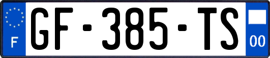 GF-385-TS