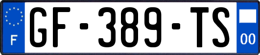 GF-389-TS