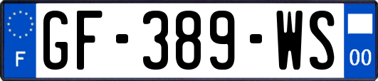 GF-389-WS