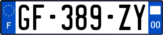 GF-389-ZY