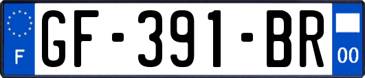 GF-391-BR