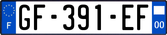 GF-391-EF