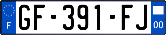 GF-391-FJ