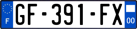 GF-391-FX
