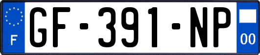 GF-391-NP