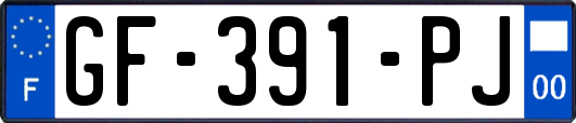 GF-391-PJ