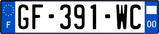 GF-391-WC