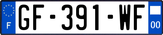 GF-391-WF