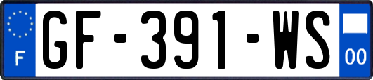 GF-391-WS
