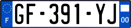 GF-391-YJ