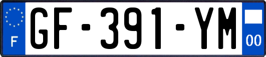 GF-391-YM