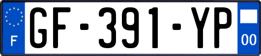 GF-391-YP