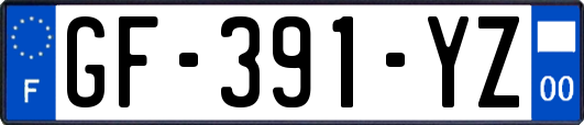 GF-391-YZ