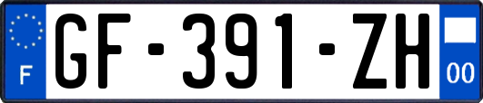 GF-391-ZH