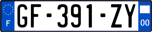 GF-391-ZY