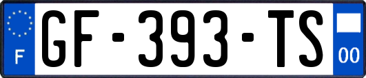 GF-393-TS