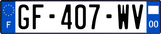 GF-407-WV