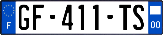 GF-411-TS