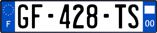 GF-428-TS