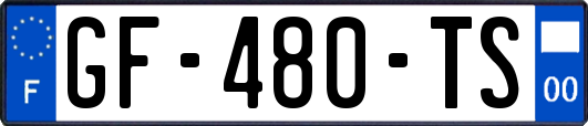 GF-480-TS