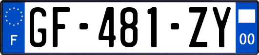 GF-481-ZY