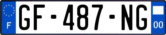 GF-487-NG