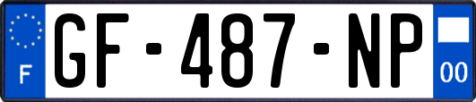 GF-487-NP