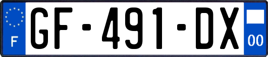 GF-491-DX