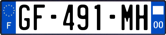 GF-491-MH