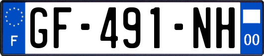 GF-491-NH